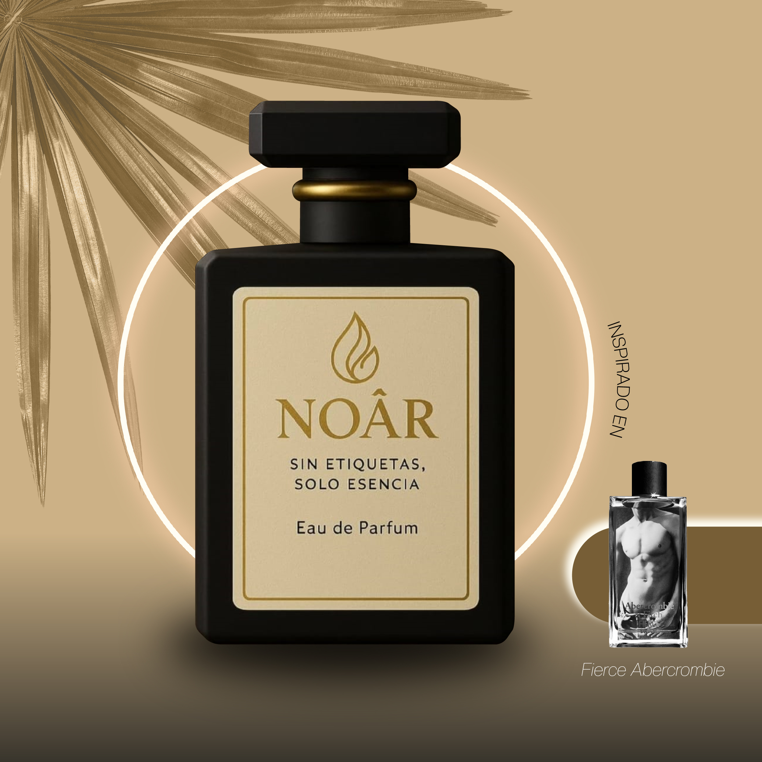 Noar Fierce Abercrombie